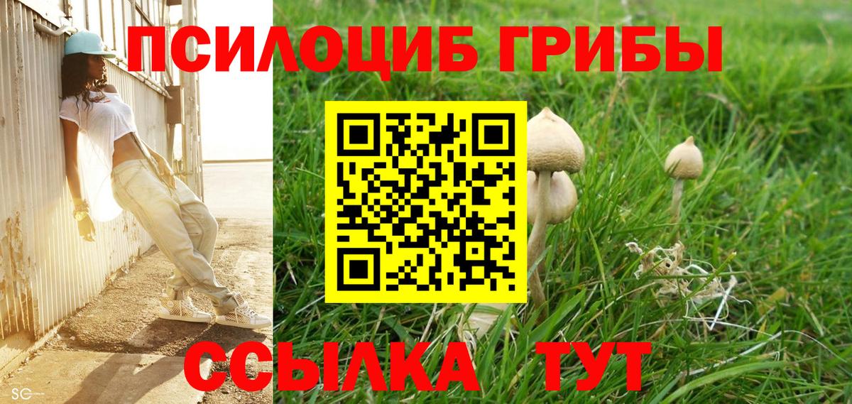 Галлюциногенные грибы мицелий Сокол