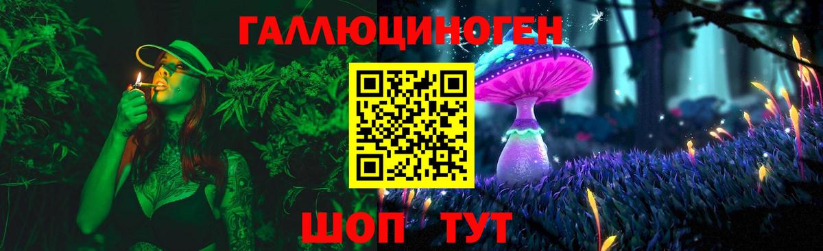 Галлюциногенные грибы Psilocybine cubensis  Вход с VPN  Сокол  Галлюциногенные грибы Psilocybe 