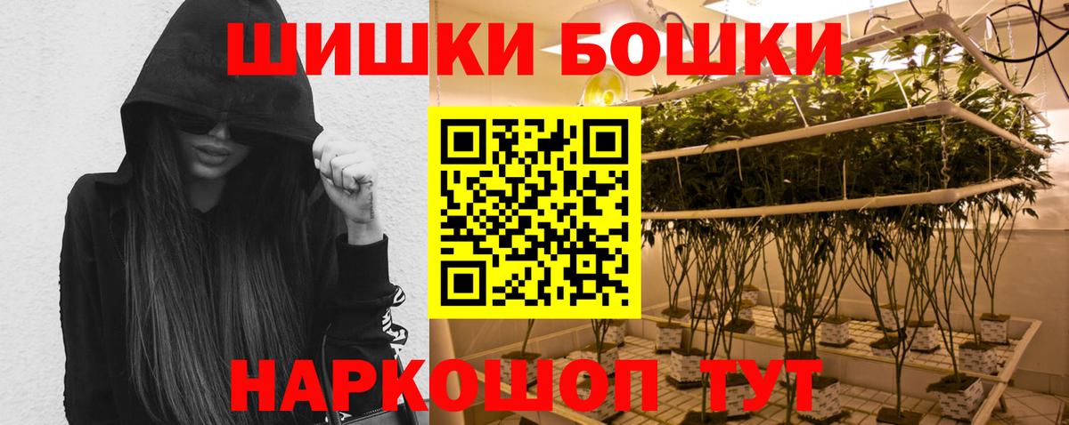 Шишки марихуана гибрид Сокол